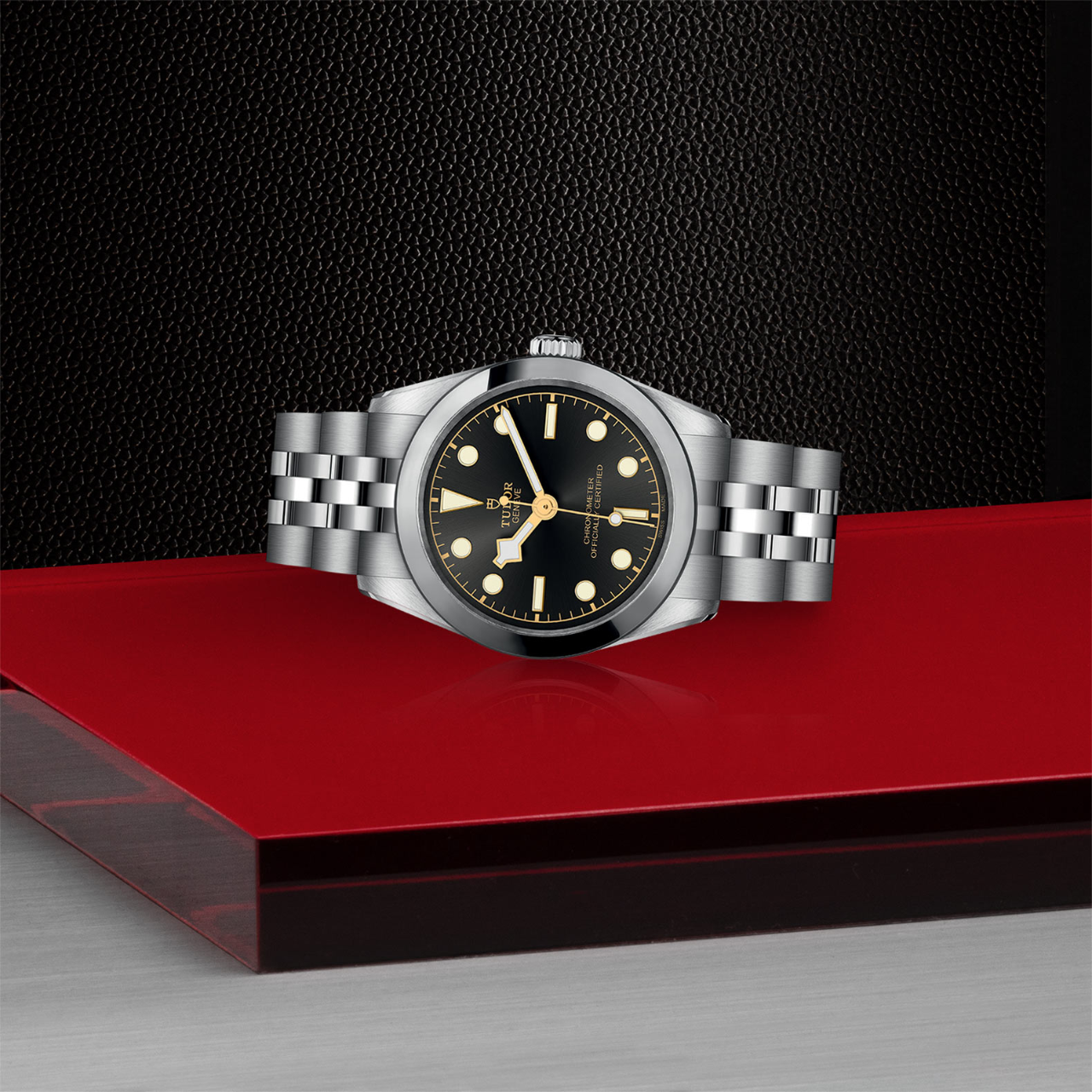 TUDOR | Black Bay 31 | M79600-0001 | Maison Birks